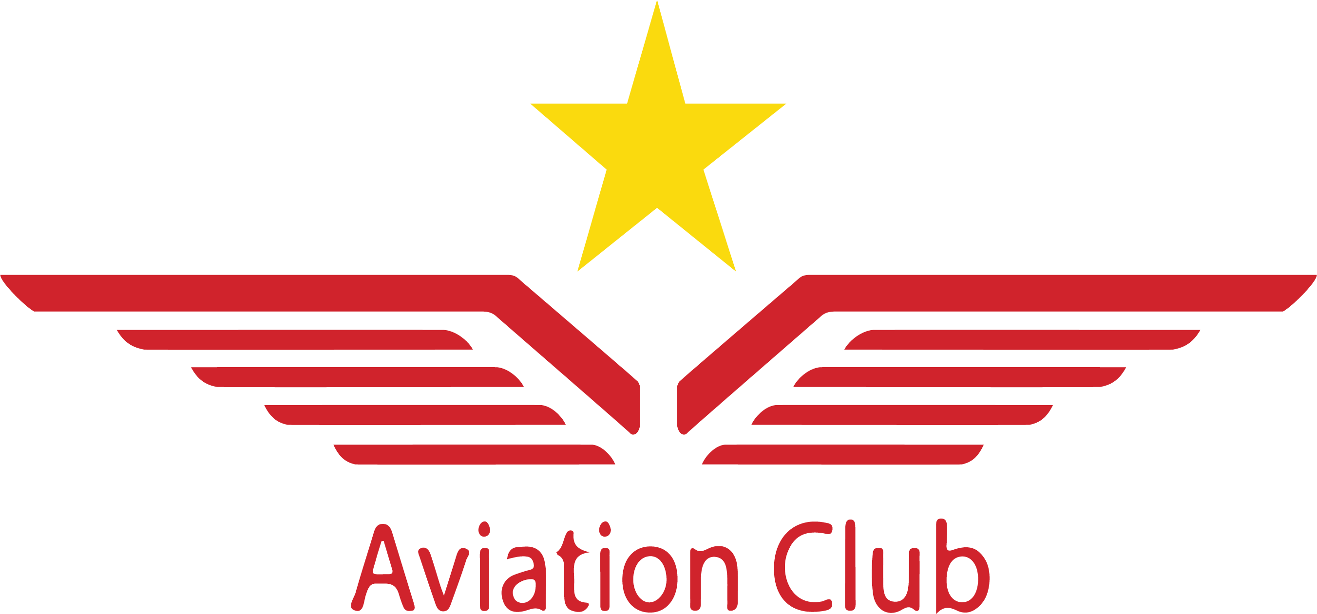 Aviaition Logo